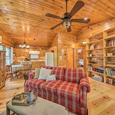 Peaceful Blue Ridge Cabin With Decks And Fire Pit 외부 사진